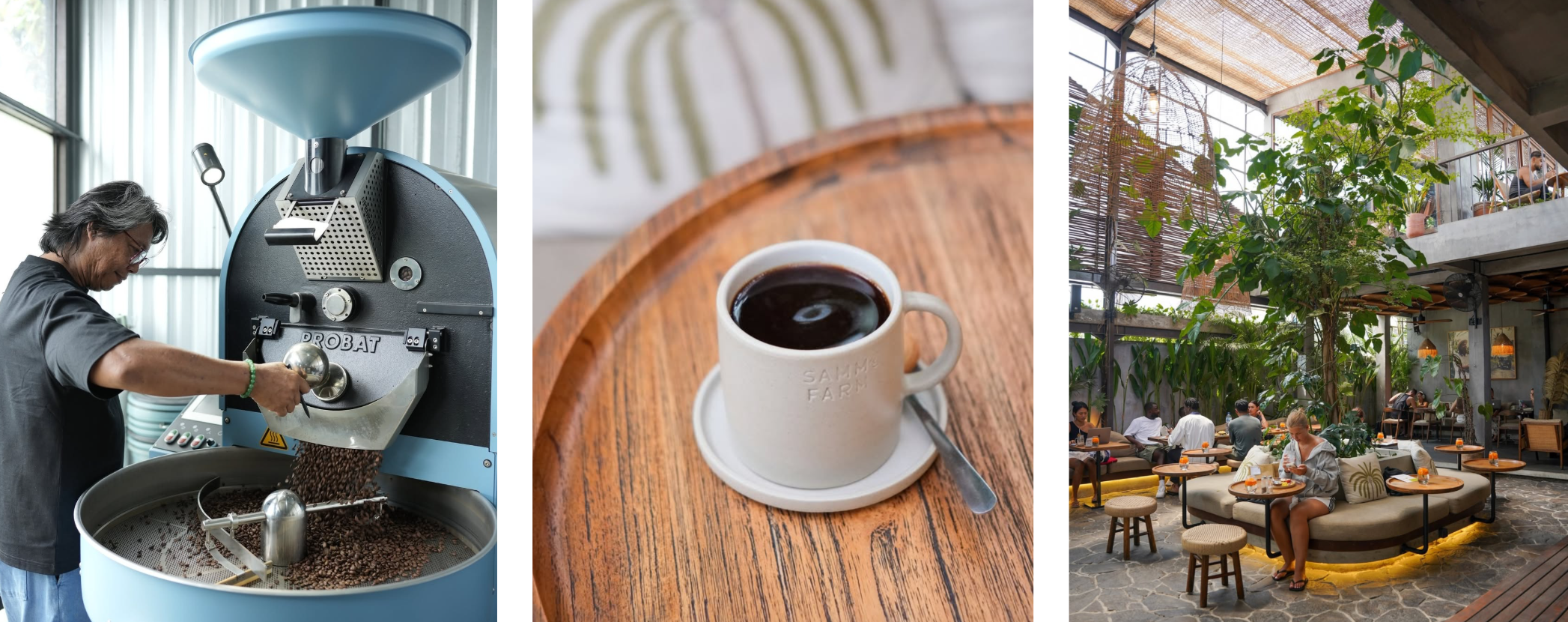 Best Coffee Shops in Canggu - Samm's Farm