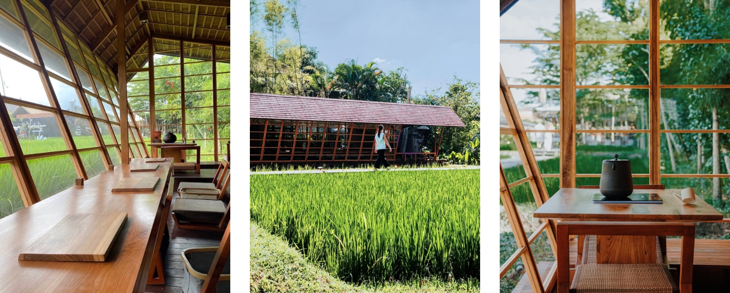 Cafes in Ubud with Rice Field Views - Chontea