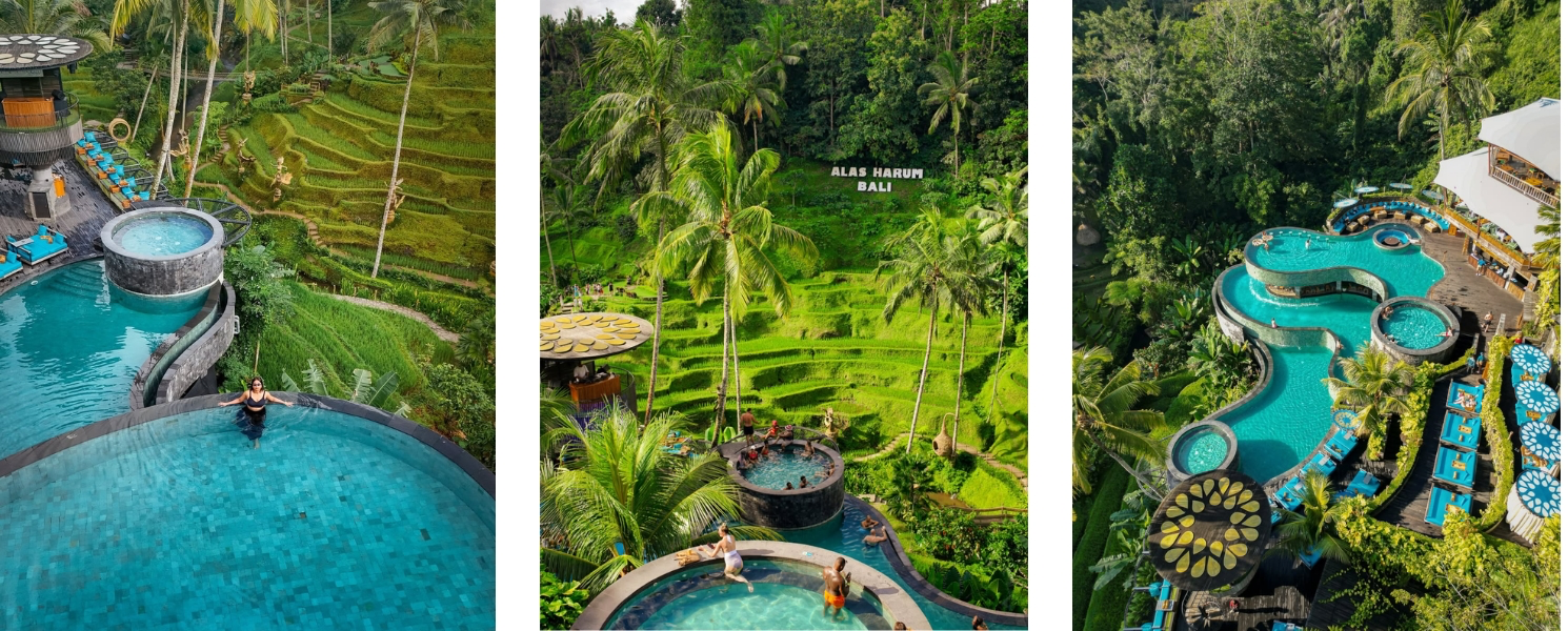 Cafes in Ubud with Rice Field Views - Cretya