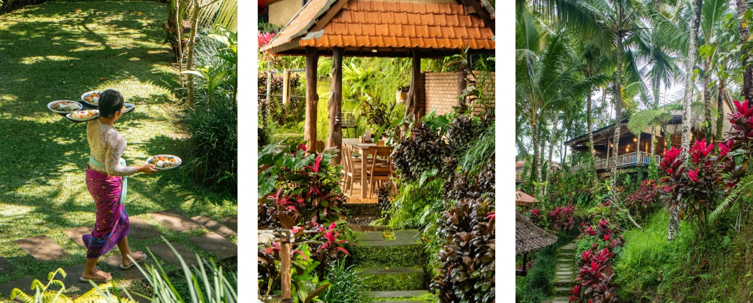 Cafes in Ubud with Rice Field Views - Dalas