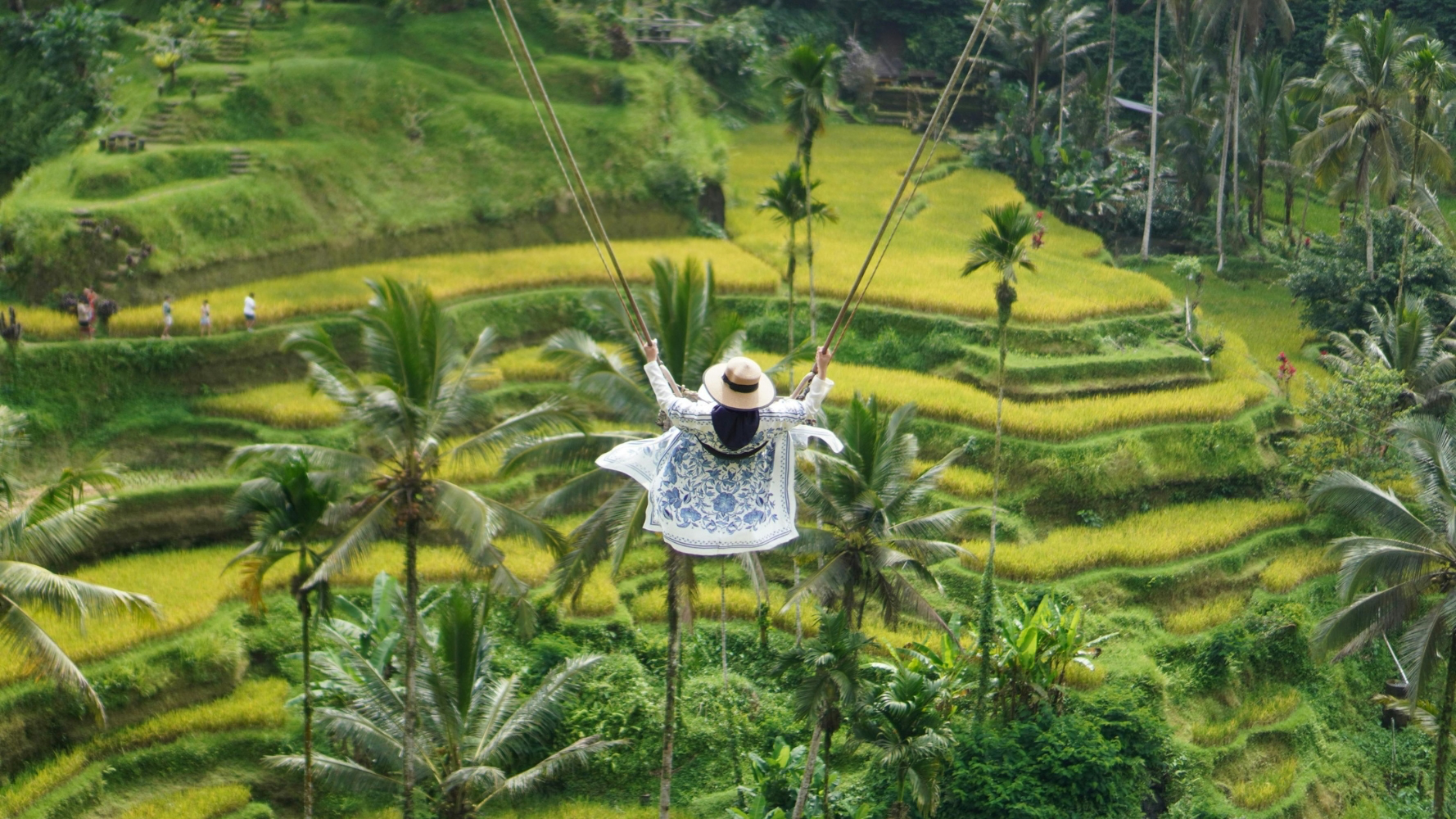 7 Restaurants and Cafes in Ubud with Rice Field Views Image