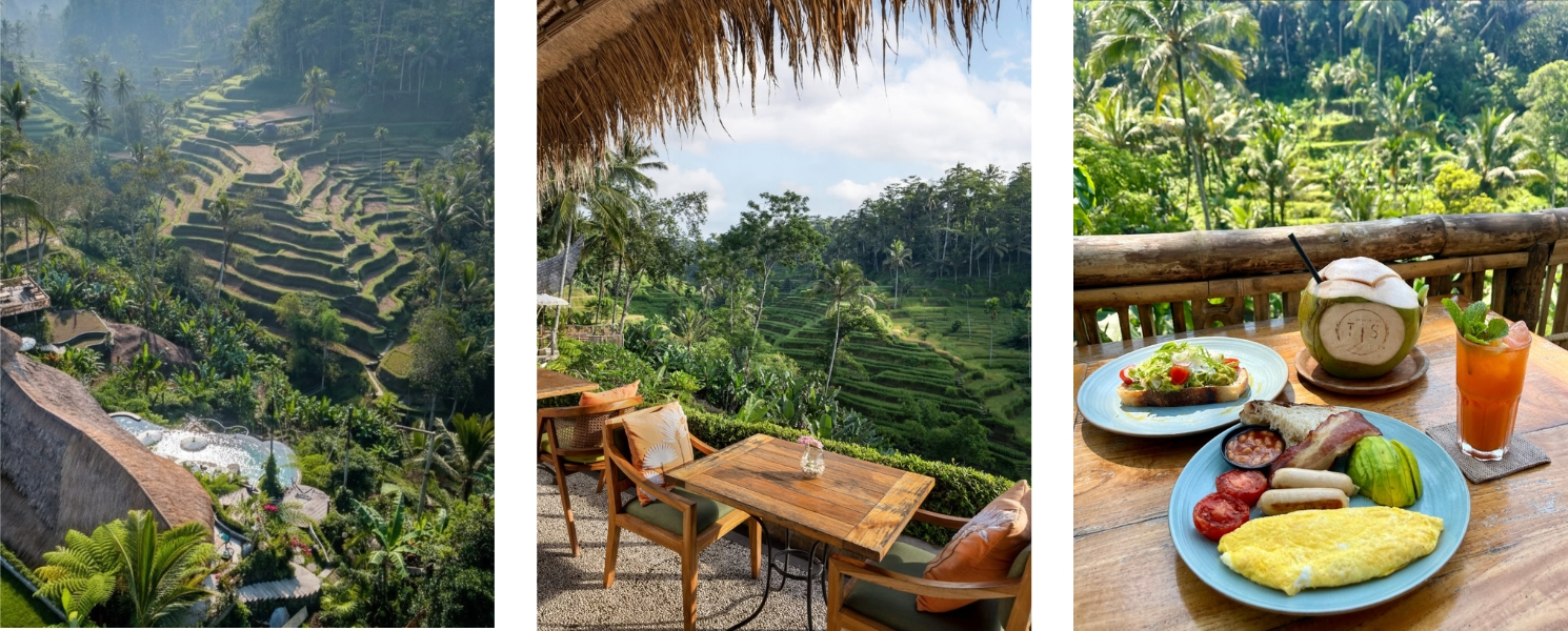 Cafes in Ubud with Rice Field Views - Tis Cafe